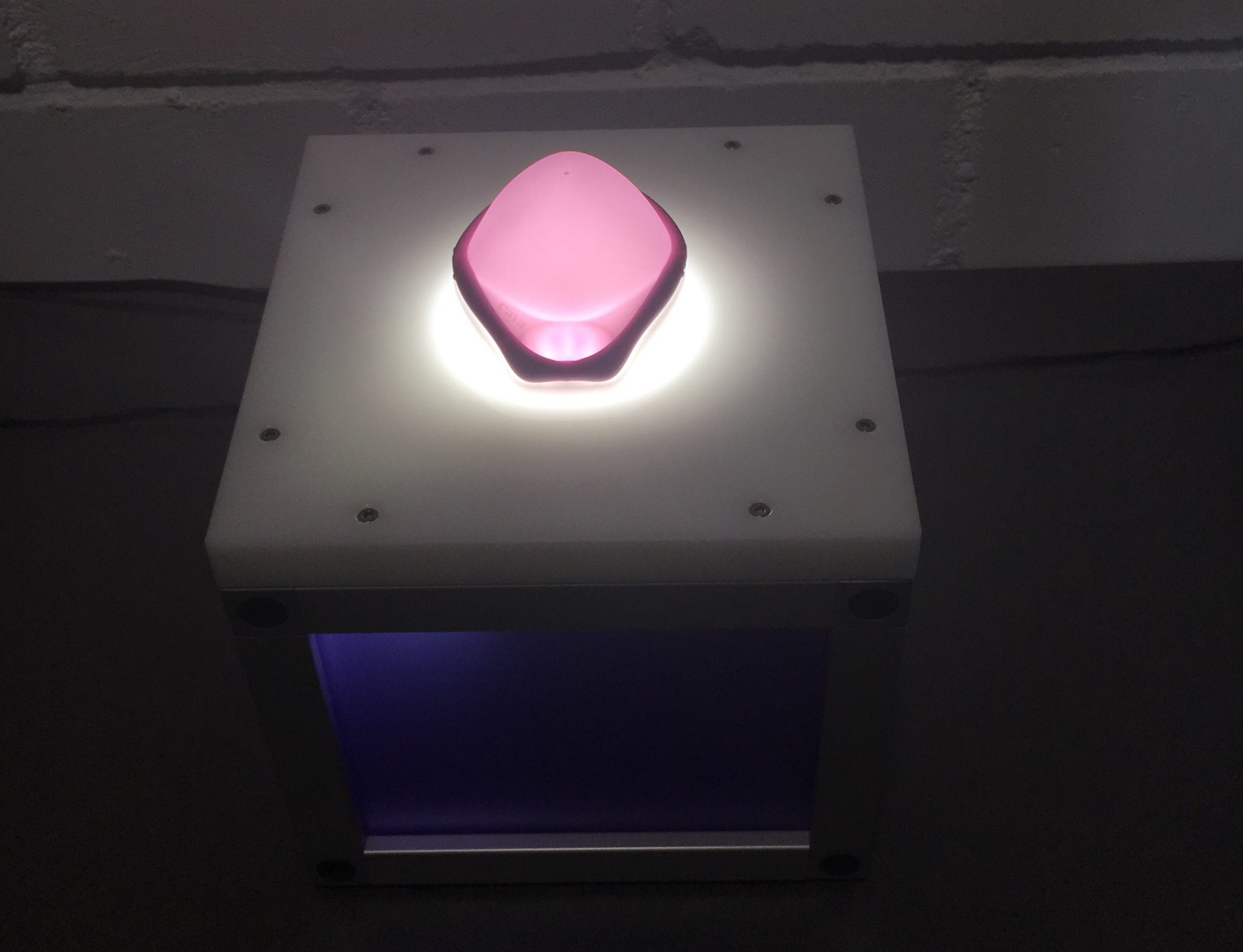 Caya pesszárium a fényasztalon