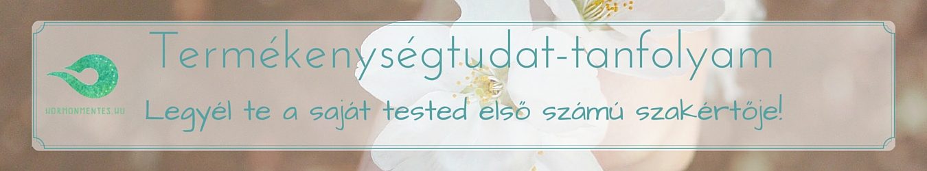 Termékenységtudat tanfolyam fejléc