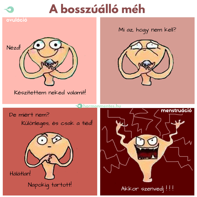 a bosszúálló méh