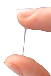 a termékeny típusú nyák