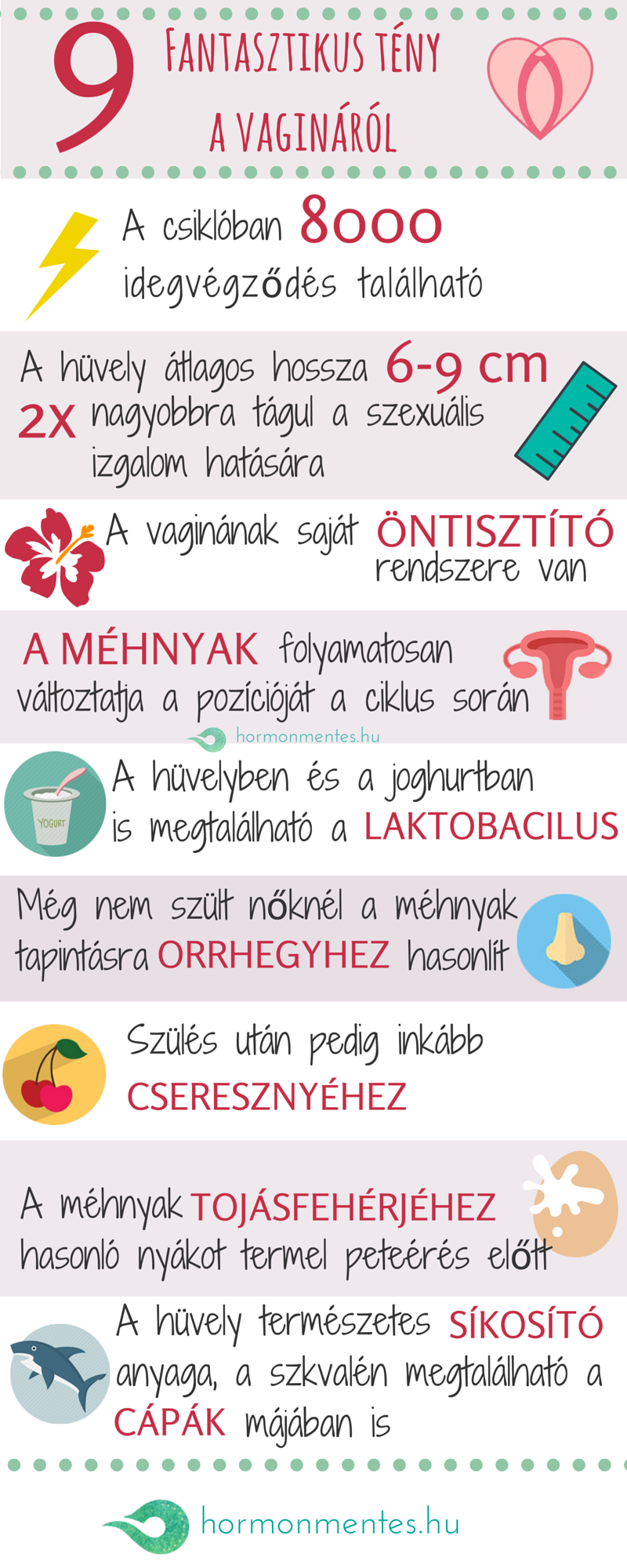 infografika vagina