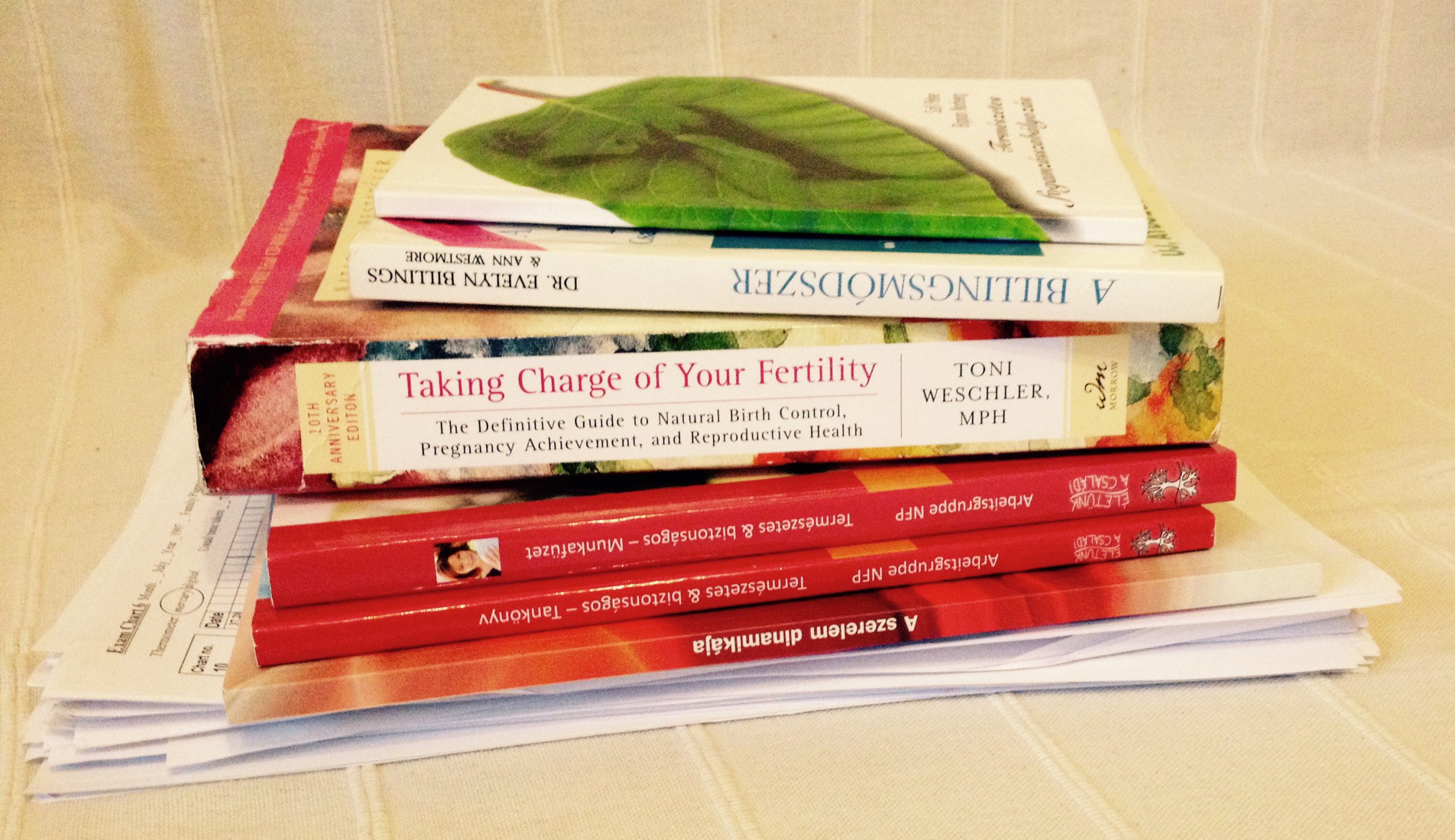 egy kupac szakirodalom :)