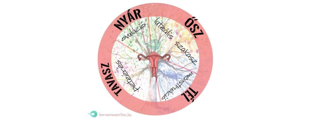 Téltől nyárig: a menstruációtól az ovulációig – Ciklusnaplók 5.